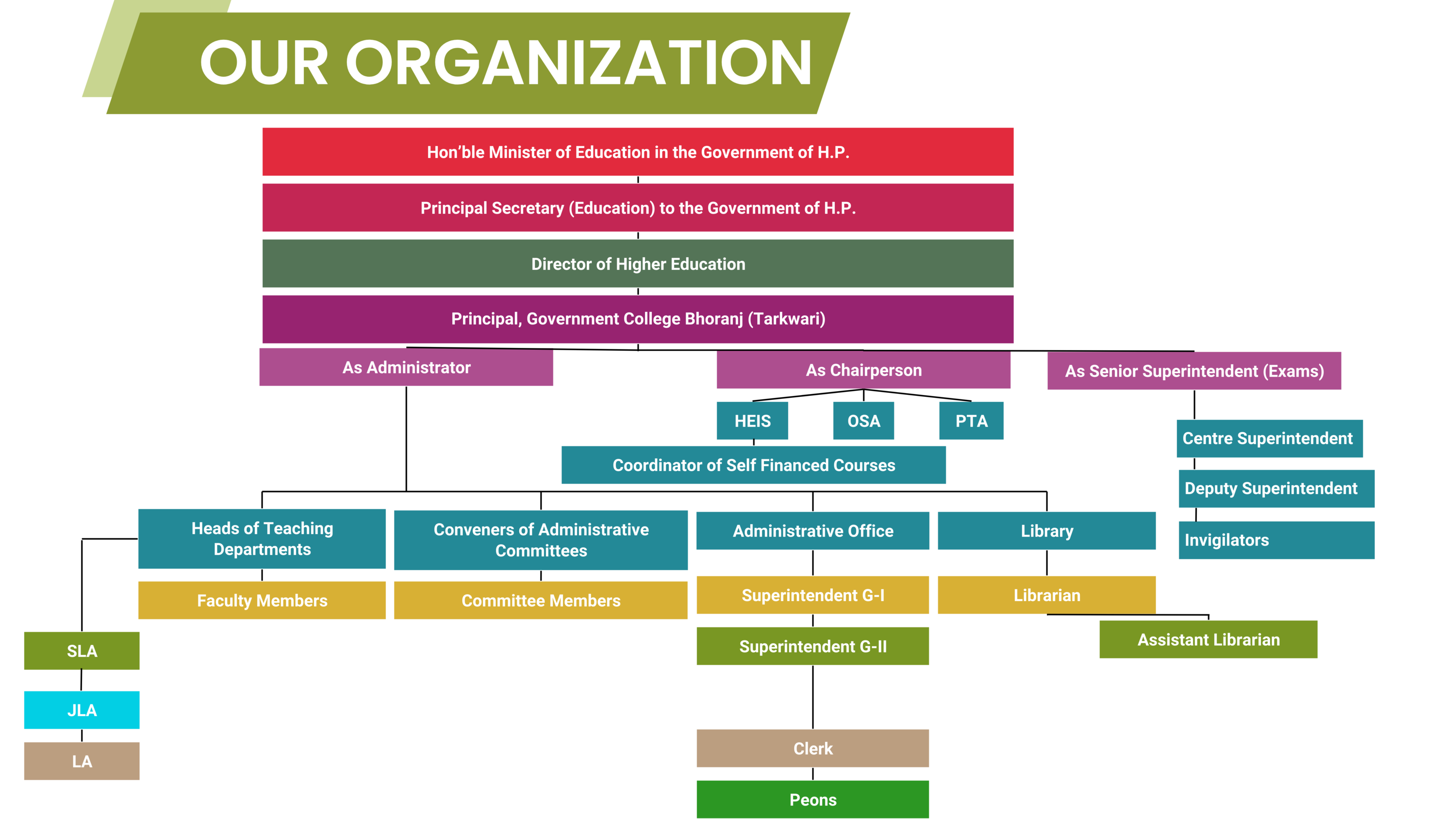 Organization Structure